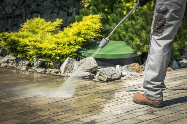 Best Roof Washing  in Walton Hills, OH