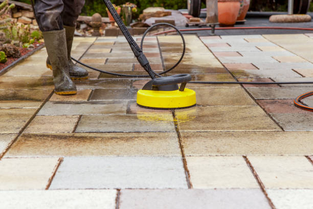 Animal Enclosure Cleaning in Walton Hills, OH